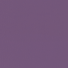 Линолеум гетерогенный LG Hausys Sport Leisure 4.0 Solid / Purple LES6701