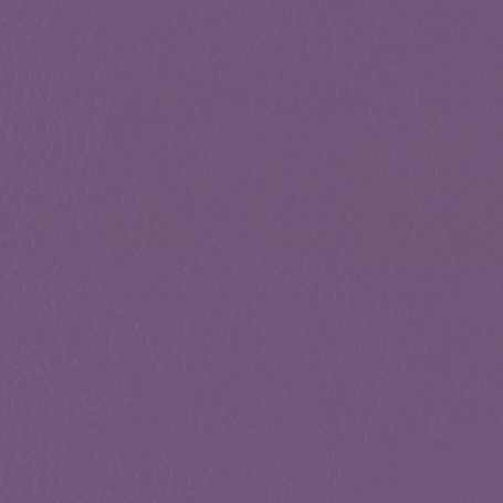 Лінолеум гетерогенний LG Hausys Sport Leisure 4.0 Solid / Purple LES6701