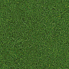 Лінолеум IVC Vision GRASS - T25 Leoline