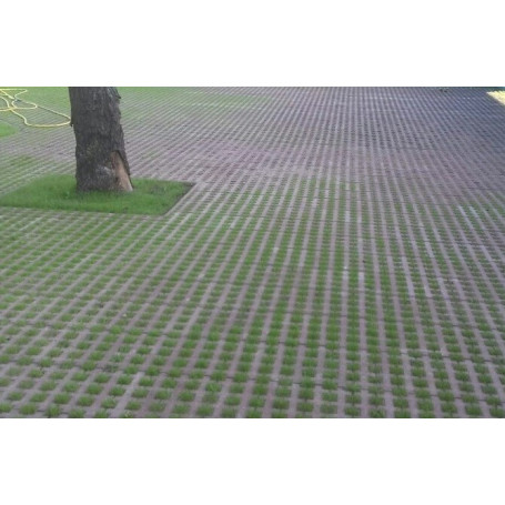 Тротуарна плитка Паркувальна решітка Благобуд, колір помаранчевий Тротуарна плитка Паркувальна решітка Благобуд, колір помаранчевий